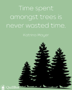 Time spent amongst trees is never wasted time.