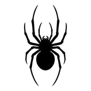 Black and white, birds eye silhouette of a spider for a pumpkin carving stencil