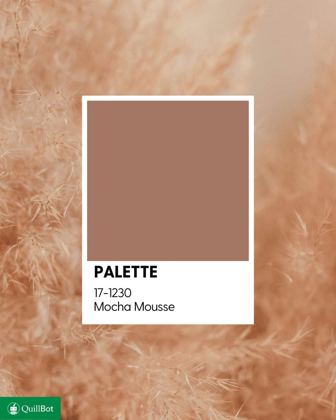 couleur mocha mousse