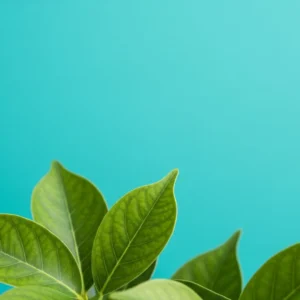 Fundo em azul turquesa com algumas folhas verdes sobrepostas.