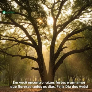 A imagem de uma árvore mangueira com dois galhos principais abrindo em, e a frase: Em você encontro raízes fortes e um amor que floresce todos os dias. Feliz Dia dos Avós!