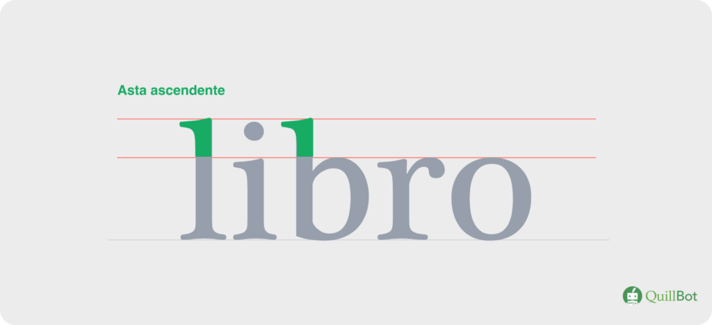 Ejemplo tipográfico de asta ascendente en las letras 'l' y 'b' de la palabra 'libro'.