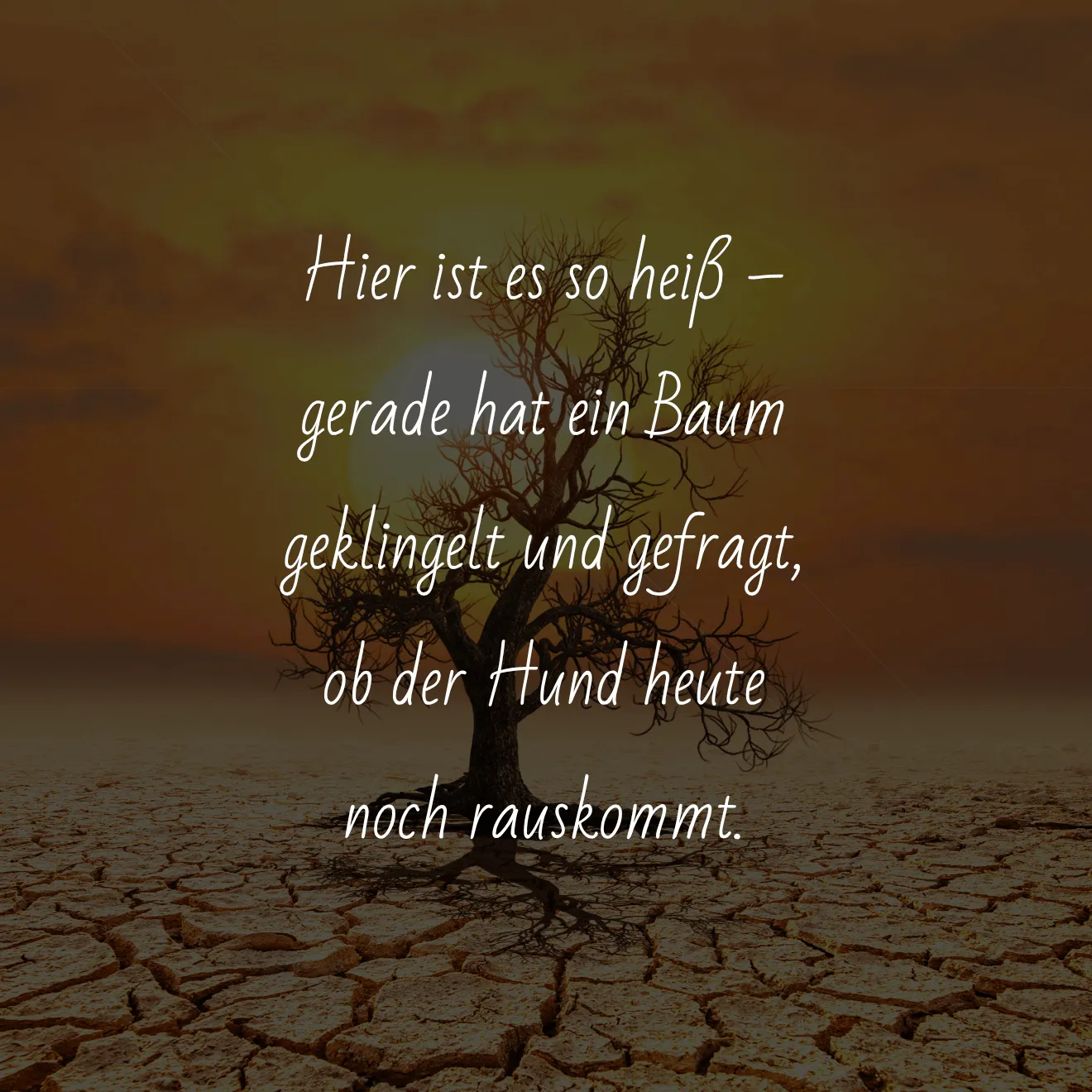 Hitze Bilder lustig 20